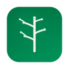 Arbor icon