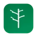 Arbor