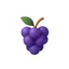 Grape icon