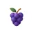 Grape icon