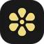 Lemon icon