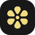 Lemon icon