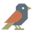 Pipit icon