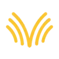 Voibe icon