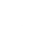 Voicy icon